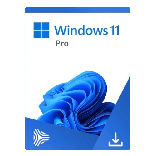 Microsoft Windows 11 Pro 1 PC
